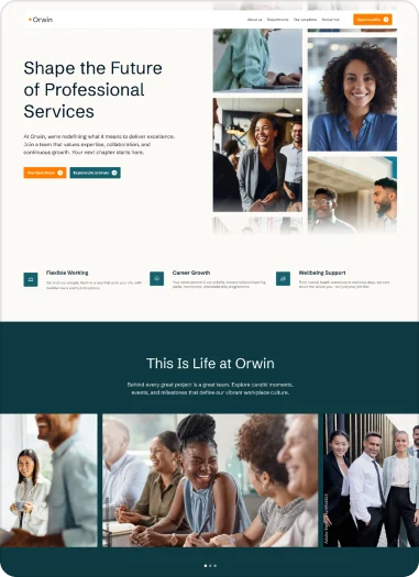 Recruitment website theme preview