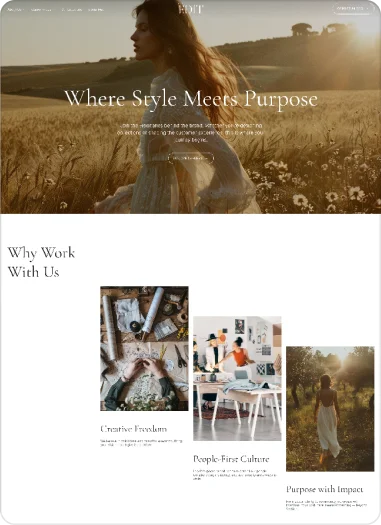 Recruitment website theme preview